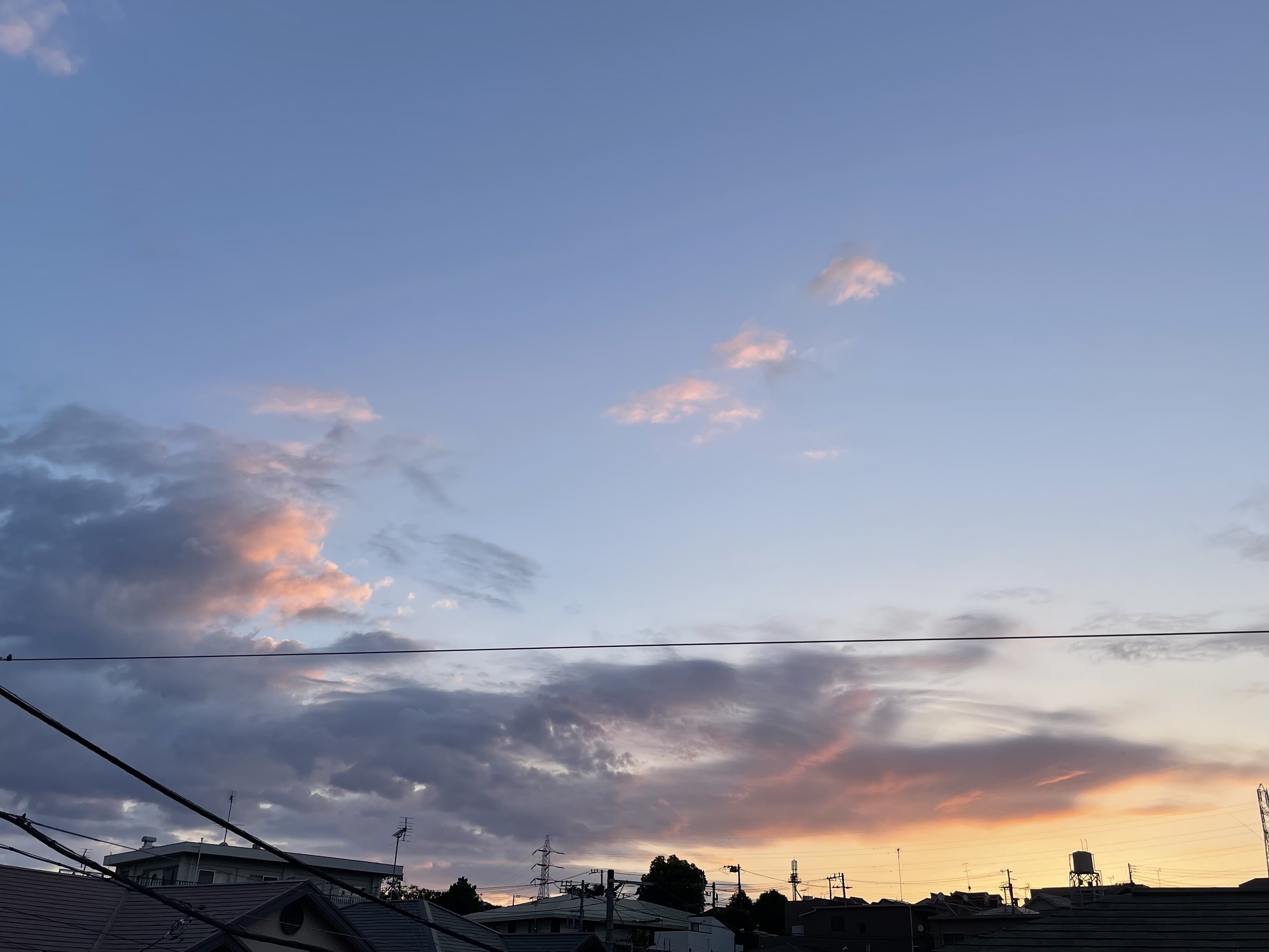 08563D82-4E9E-4745-AAA7-8B2FE6FB2509.jpeg