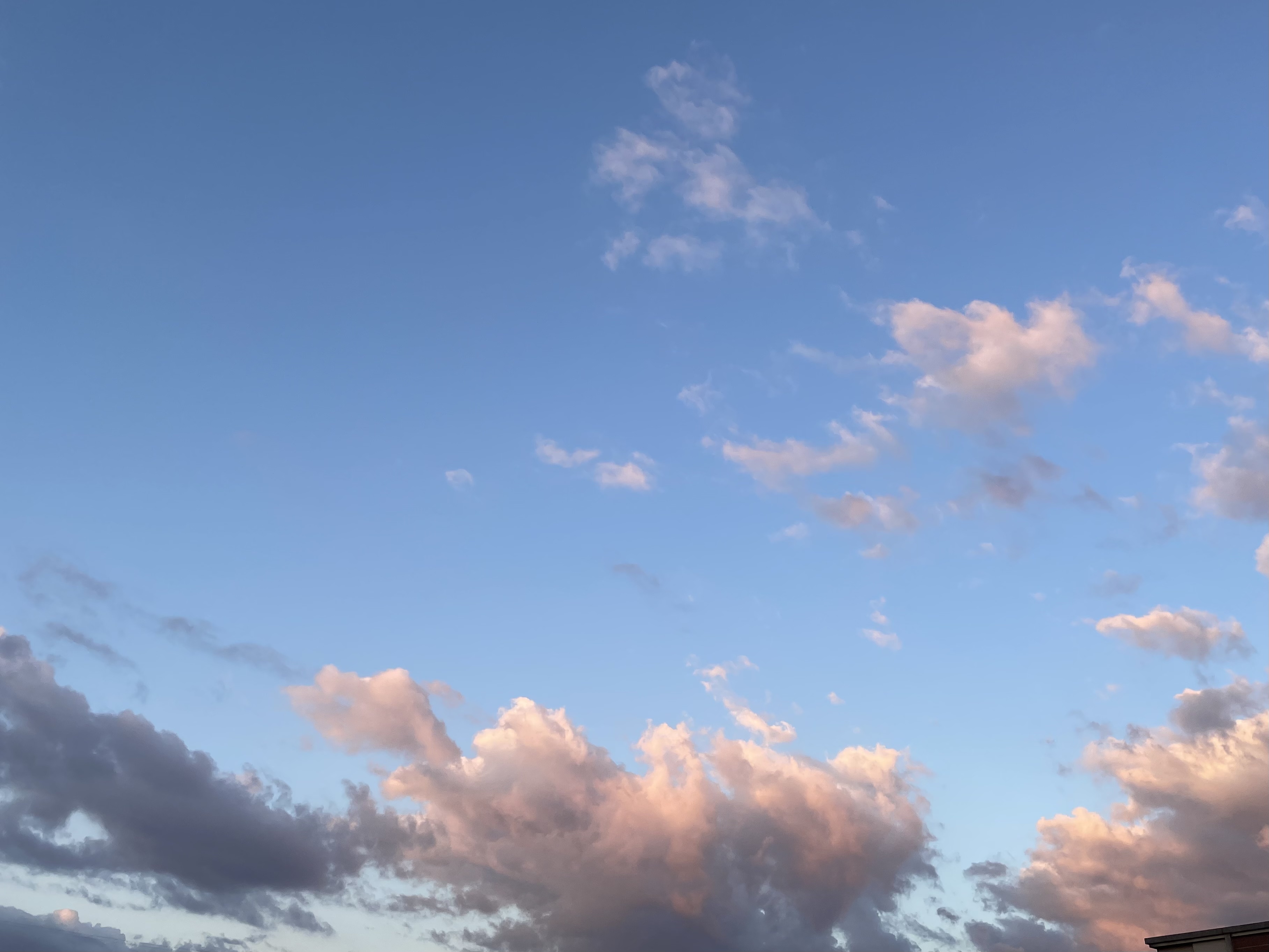 A7A9491E-D49B-4CFB-9023-07FE439F1CD6.jpeg