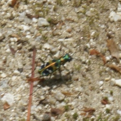 IMG_7751.jpeg