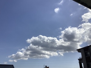 IMG_0330.jpeg