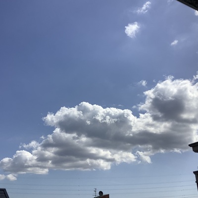 IMG_0330.jpeg