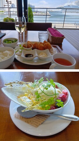 20260513_174110-COLLAGE.jpg