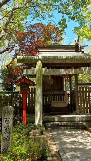 IMG_20260510_120041994_HDR_3.jpg
