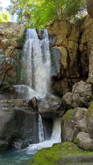 IMG_20260510_124548166_HDR_4.jpg