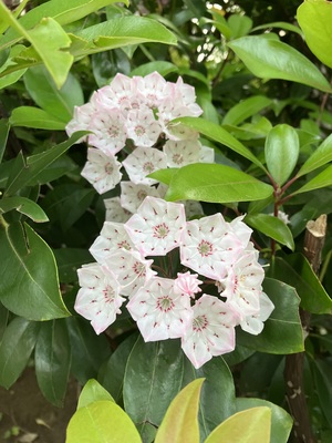 IMG_3093.jpeg