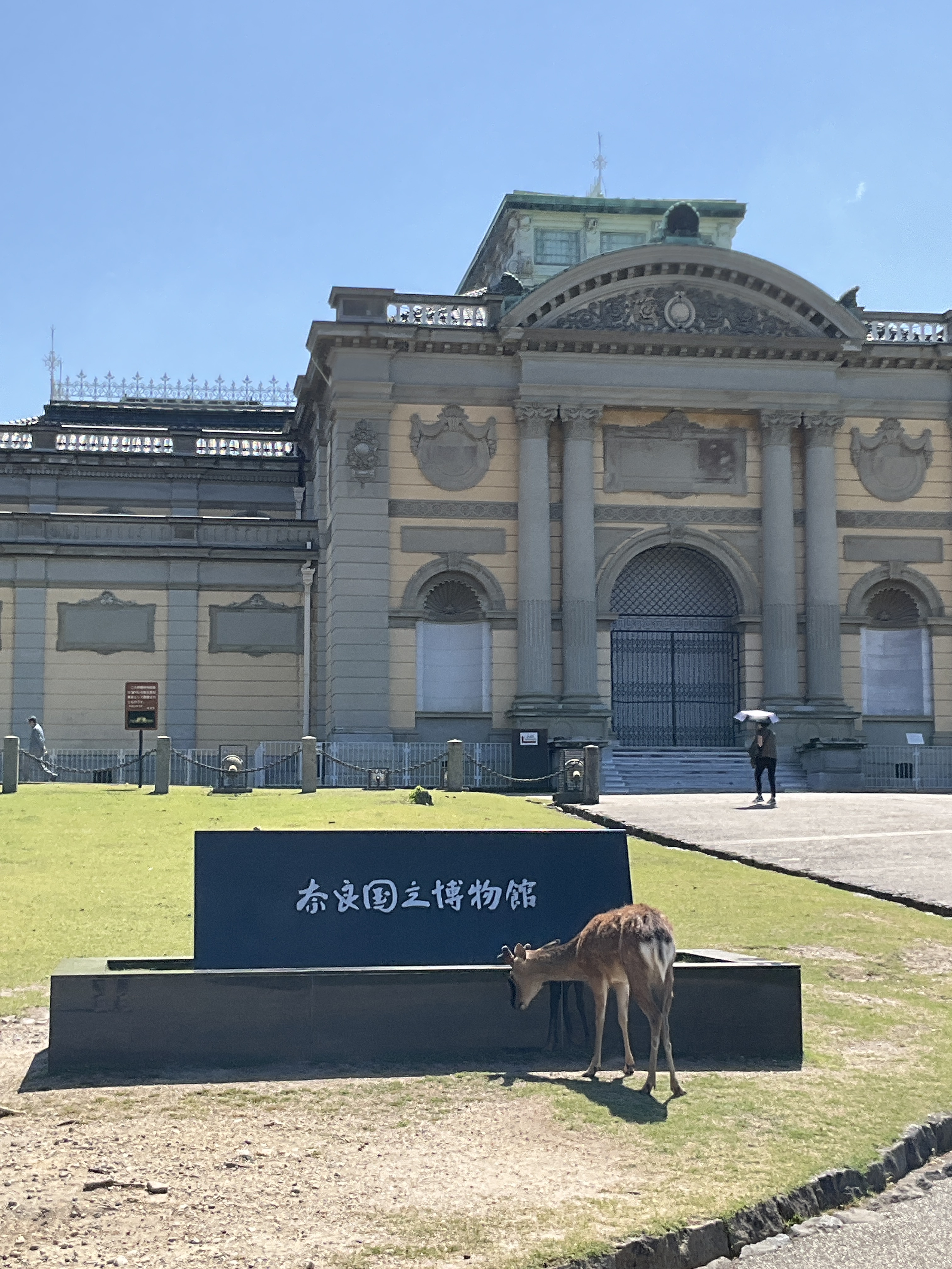 IMG_2701.jpeg
