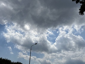 IMG_3228.jpeg