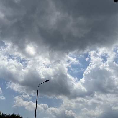 IMG_3228.jpeg