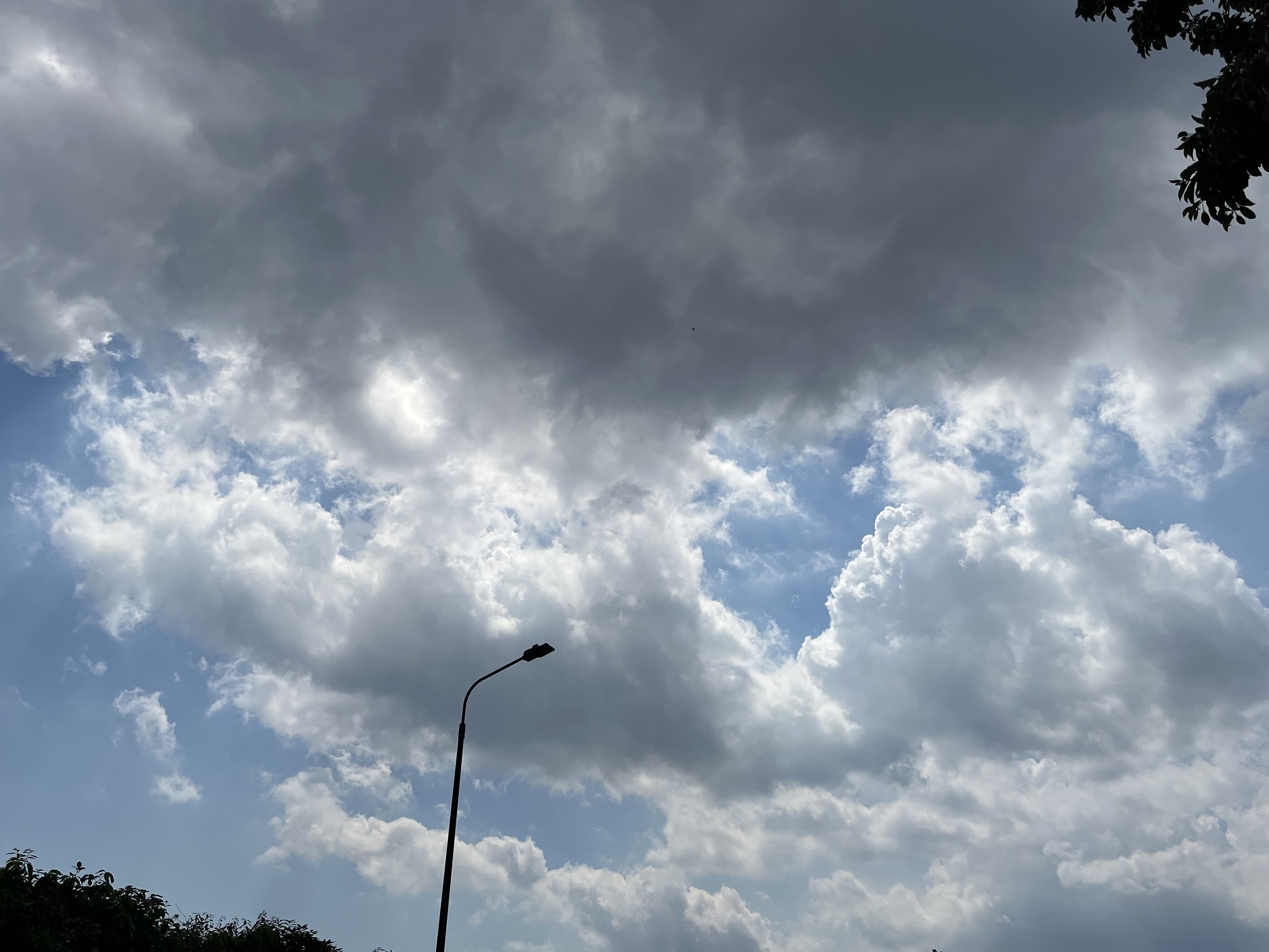 IMG_3228.jpeg