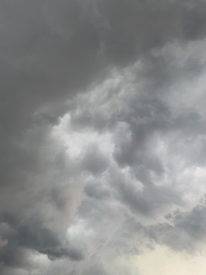 54F26CB6-A9F5-4275-8B1C-710285455DAA.jpeg