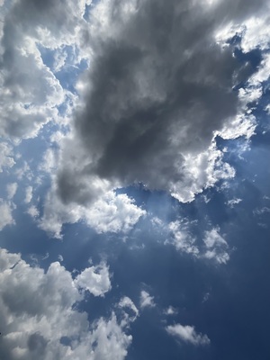 IMG_3229.jpeg