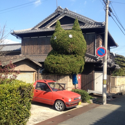 IMG_0944.jpeg