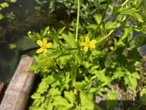 IMG_7792.jpeg