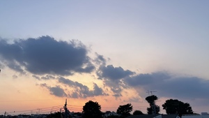 48EAB916-3BC2-4C1C-8293-42235ADA0A5F.jpeg