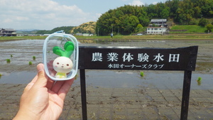 IMGP0119.JPG