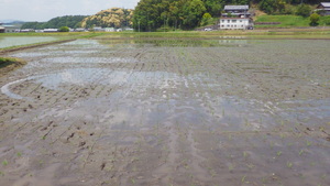 IMGP0129.JPG