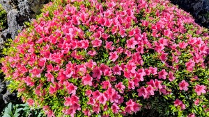 PXL_20260516_230037415_2.jpg