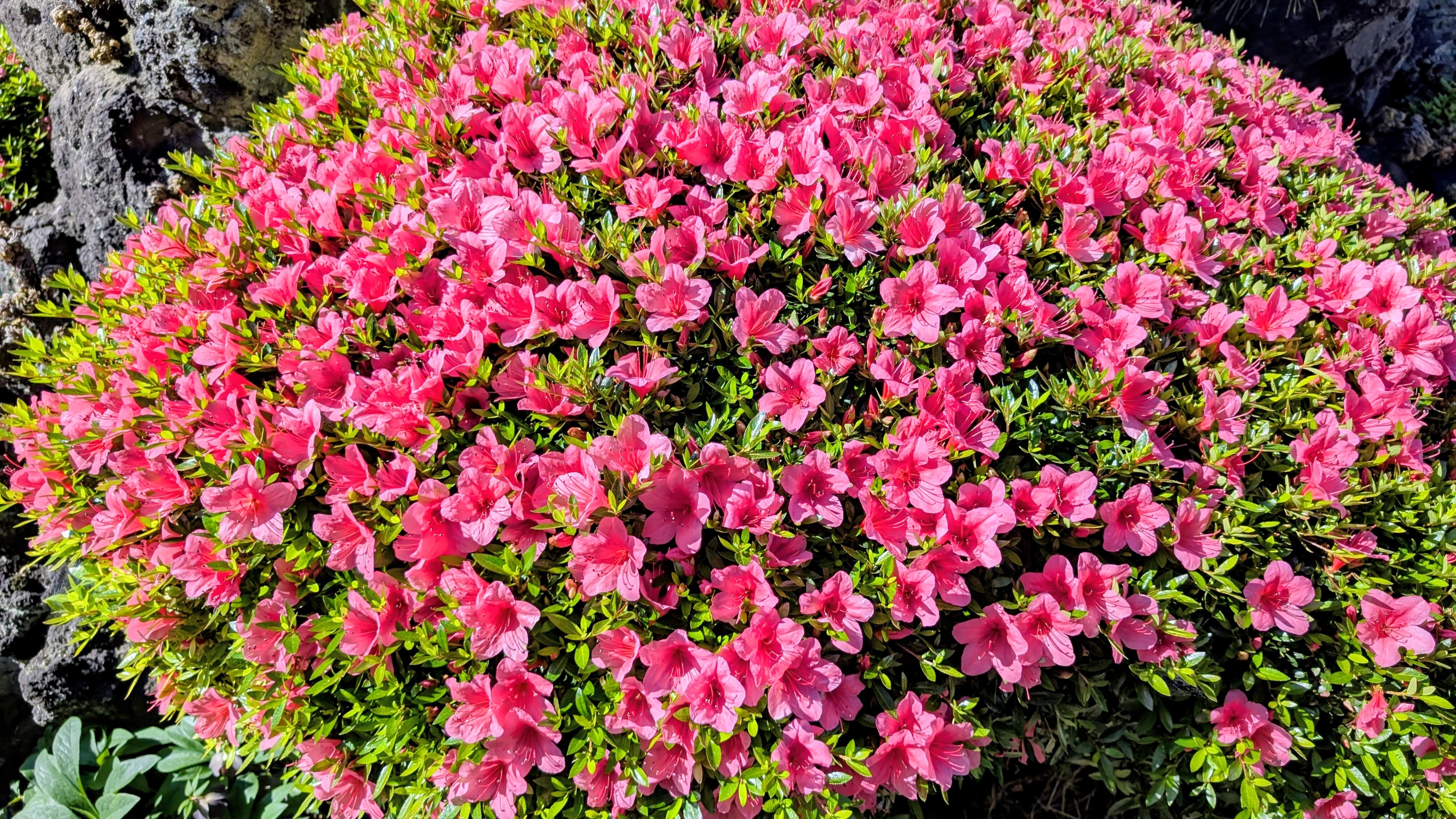 PXL_20260516_230037415_2.jpg