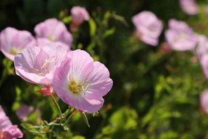 IMG_0012.JPG