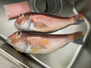 IMG_7872.jpeg