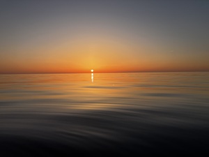 IMG_7862.jpeg