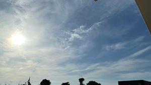 E783A6E1-F549-4B9F-8747-610C948EFB23.jpeg
