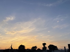 0D479E79-EB77-41B7-B50C-A8A53585BA85.jpeg