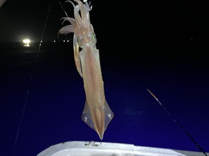 IMG_7888.jpeg