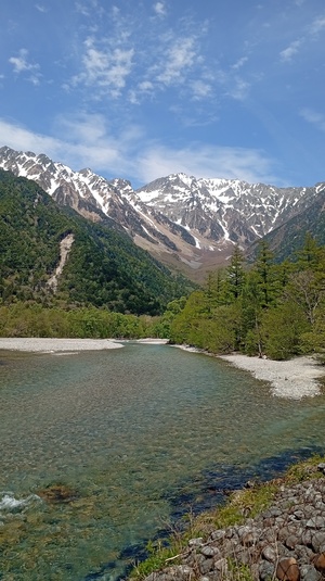 IMG_20260520_120601.jpg