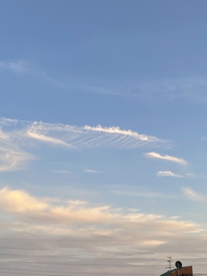 9C963904-0B1D-462A-9663-81C132166881.jpeg