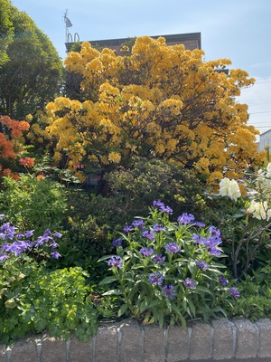 IMG_2200.jpeg