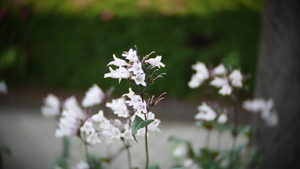 P1050369.JPG