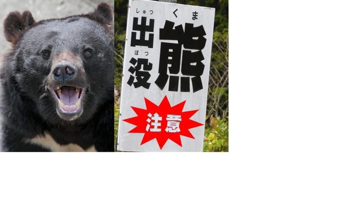 熊、秋田県.jpg