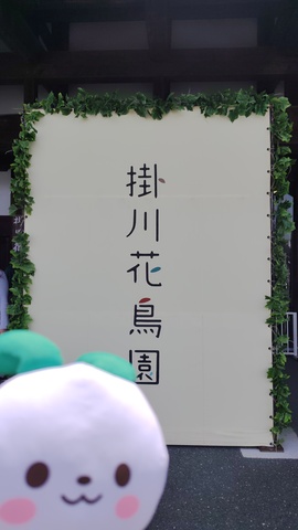 260524124534263.JPG