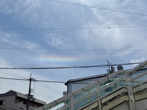 IMG_2817.jpeg