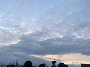 58B57396-ADE7-41B7-9587-0EA604042118.jpeg