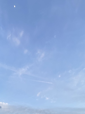 6987DF0B-C6AD-41A5-A1F6-223522E67F60.jpeg