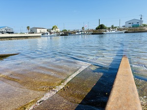 IMG_1476.jpeg