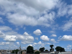 A266739B-9934-40BB-BAF7-65EF6E483B5F.jpeg