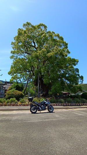 IMG_20260505_131924763.jpg