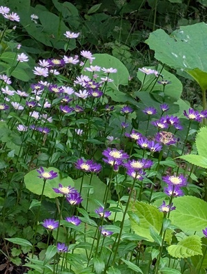 PXL_20260525_223859760.jpg