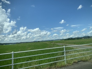 IMG_3509.jpeg