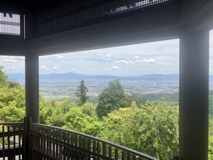 IMG_4424.jpeg