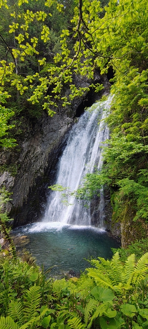 IMG_20260526_163618624_HDR_AE.jpg