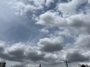 IMG_3311.jpeg