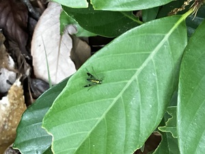 IMG_7999.jpeg