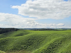 20260522_150509.jpg