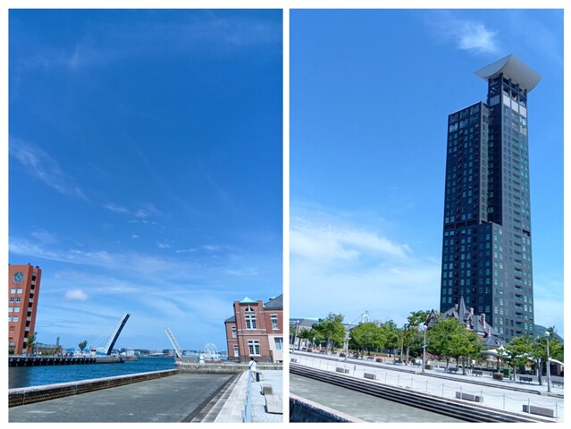 20260527_153041-COLLAGE.jpg