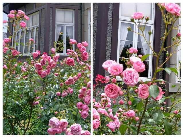 20260527_133241-COLLAGE.jpg