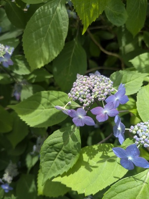 PXL_20250610_023851281.jpg